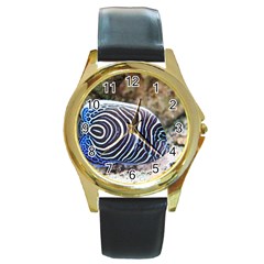 Angelfish 3 Round Gold Metal Watch by trendistuff