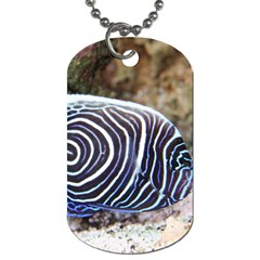 Angelfish 3 Dog Tag (two Sides) by trendistuff