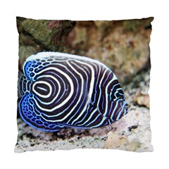 Angelfish 3 Standard Cushion Case (two Sides) by trendistuff