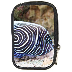 Angelfish 3 Compact Camera Cases by trendistuff