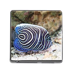 Angelfish 3 Memory Card Reader (square) by trendistuff