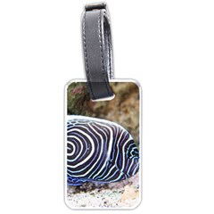 Angelfish 3 Luggage Tags (one Side)  by trendistuff