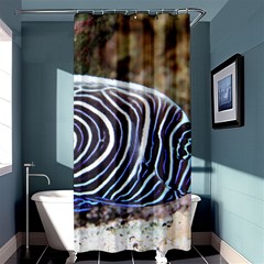 Angelfish 3 Shower Curtain 36  X 72  (stall)  by trendistuff