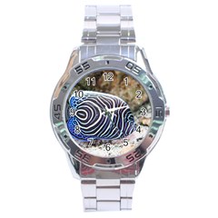 Angelfish 3 Stainless Steel Analogue Watch by trendistuff