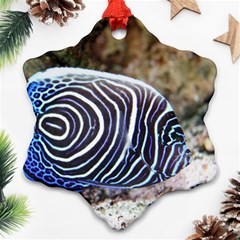 Angelfish 3 Snowflake Ornament (two Sides) by trendistuff