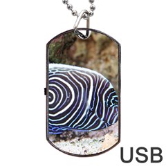 Angelfish 3 Dog Tag Usb Flash (one Side) by trendistuff