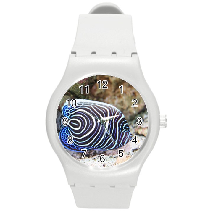 ANGELFISH 3 Round Plastic Sport Watch (M)