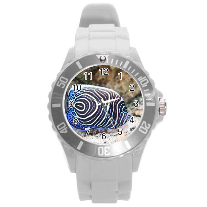 ANGELFISH 3 Round Plastic Sport Watch (L)