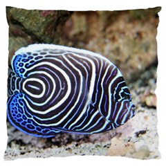 Angelfish 3 Large Cushion Case (two Sides) by trendistuff