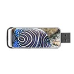 ANGELFISH 3 Portable USB Flash (One Side) Front