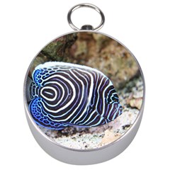 Angelfish 3 Silver Compasses by trendistuff