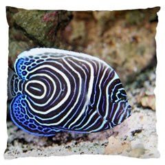 Angelfish 3 Large Flano Cushion Case (two Sides) by trendistuff