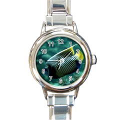 Angelfish 4 Round Italian Charm Watch by trendistuff