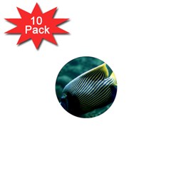 Angelfish 4 1  Mini Magnet (10 Pack)  by trendistuff