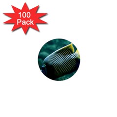 Angelfish 4 1  Mini Buttons (100 Pack)  by trendistuff