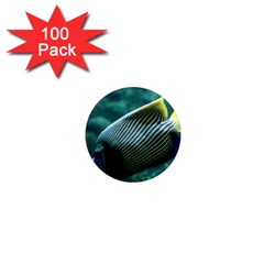 Angelfish 4 1  Mini Magnets (100 Pack)  by trendistuff