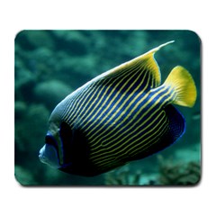 Angelfish 4 Large Mousepads by trendistuff