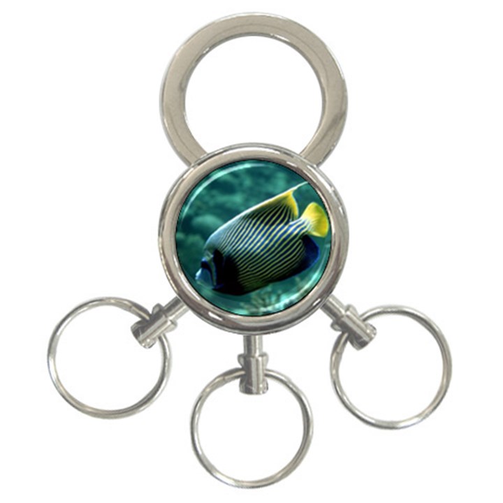 ANGELFISH 4 3-Ring Key Chains