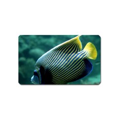 Angelfish 4 Magnet (name Card) by trendistuff