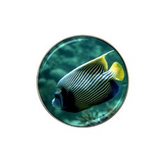 Angelfish 4 Hat Clip Ball Marker (4 Pack) by trendistuff