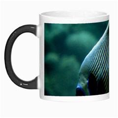 Angelfish 4 Morph Mugs by trendistuff