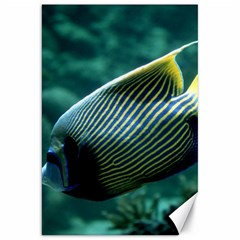 Angelfish 4 Canvas 20  X 30   by trendistuff