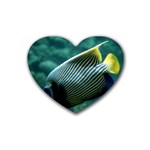 ANGELFISH 4 Rubber Coaster (Heart)  Front