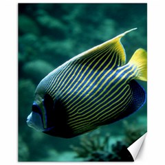 Angelfish 4 Canvas 11  X 14   by trendistuff