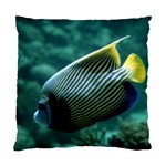 ANGELFISH 4 Standard Cushion Case (Two Sides) Back