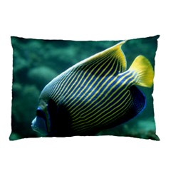 Angelfish 4 Pillow Case by trendistuff