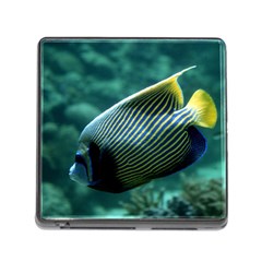 Angelfish 4 Memory Card Reader (square) by trendistuff