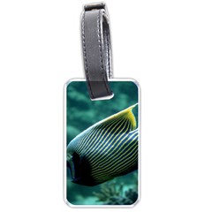 Angelfish 4 Luggage Tags (one Side)  by trendistuff