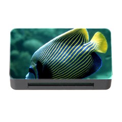 Angelfish 4 Memory Card Reader With Cf by trendistuff