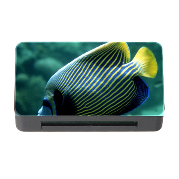 ANGELFISH 4 Memory Card Reader with CF