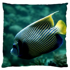 Angelfish 4 Large Cushion Case (one Side) by trendistuff