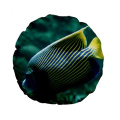 Angelfish 4 Standard 15  Premium Round Cushions by trendistuff