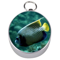 Angelfish 4 Silver Compasses by trendistuff