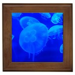 BLUE JELLYFISH 1 Framed Tiles