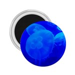 BLUE JELLYFISH 1 2.25  Magnets