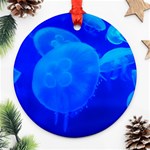 BLUE JELLYFISH 1 Ornament (Round)