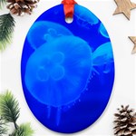 BLUE JELLYFISH 1 Ornament (Oval)