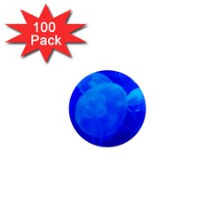 Blue Jellyfish 1 1  Mini Magnets (100 Pack) 