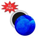 BLUE JELLYFISH 1 1.75  Magnets (10 pack) 