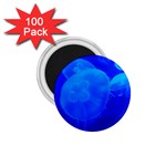 BLUE JELLYFISH 1 1.75  Magnets (100 pack) 