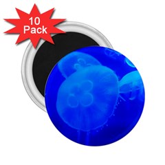 Blue Jellyfish 1 2 25  Magnets (10 Pack)  by trendistuff