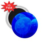 BLUE JELLYFISH 1 2.25  Magnets (10 pack) 