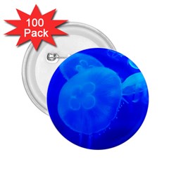 Blue Jellyfish 1 2 25  Buttons (100 Pack)  by trendistuff