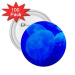 BLUE JELLYFISH 1 2.25  Buttons (100 pack) 