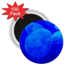 Blue Jellyfish 1 2 25  Magnets (100 Pack)  by trendistuff