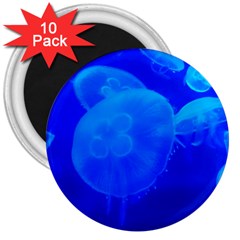 Blue Jellyfish 1 3  Magnets (10 Pack)  by trendistuff